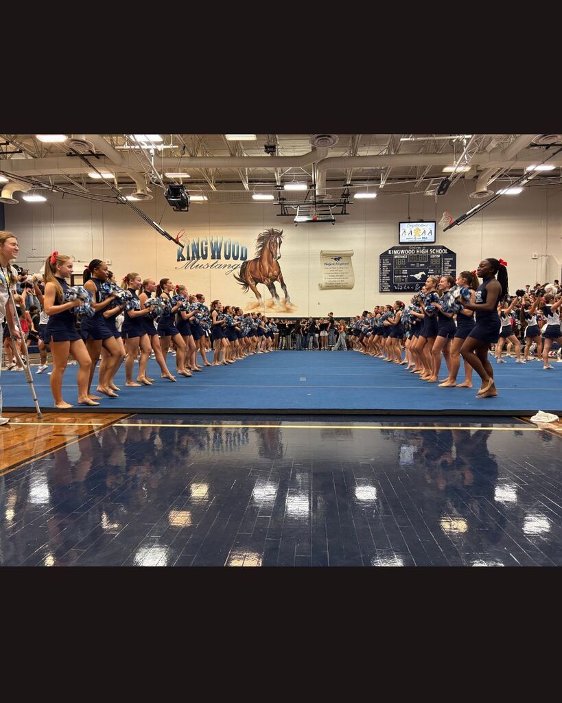 Fillies