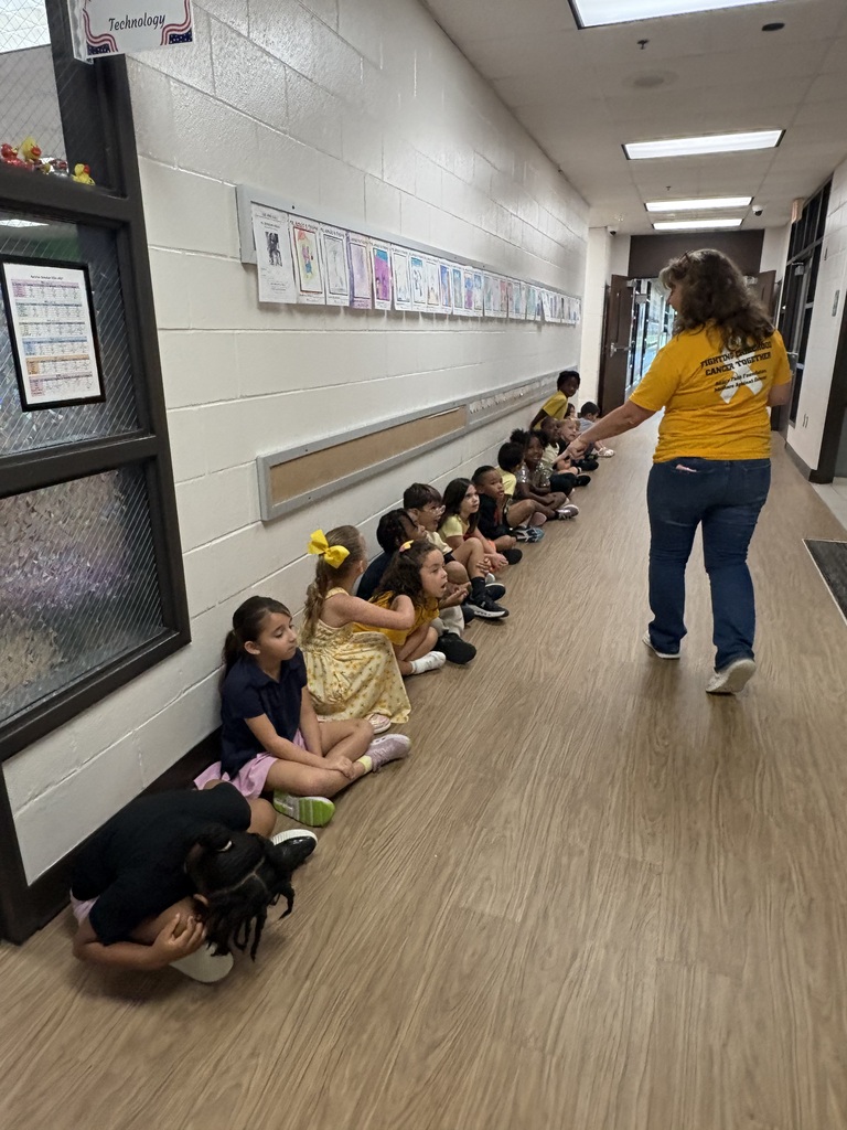 Hallwaylearningcruz