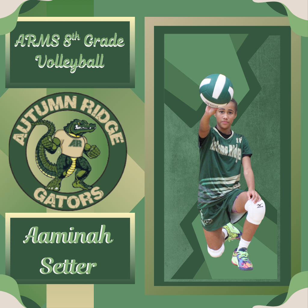 Volleyball Setter 2026