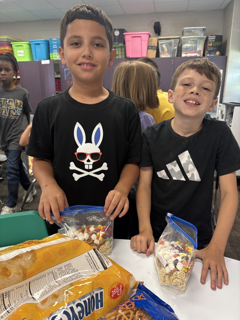 Mixturesandsolutions4thgrade3