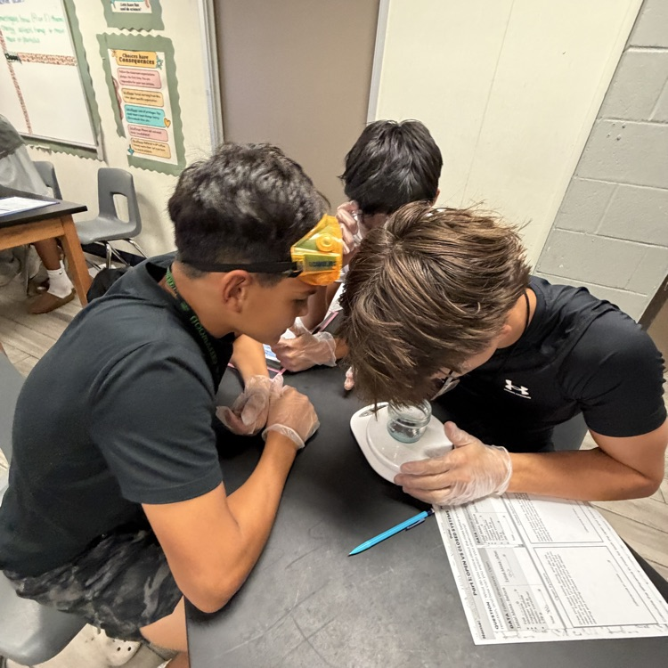 8th grade science