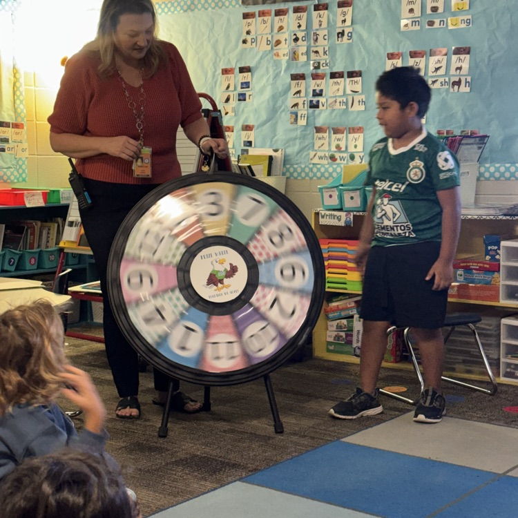 spin the wheel 