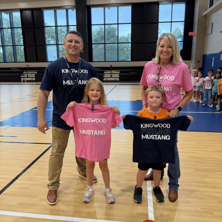Mustang spirit