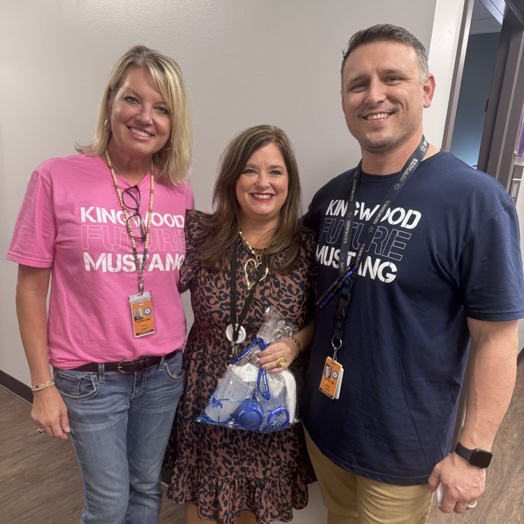 Mustang spirit