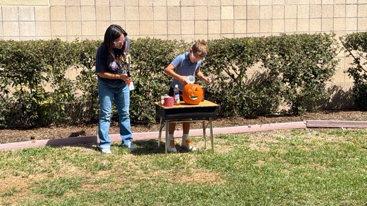 pumpkin