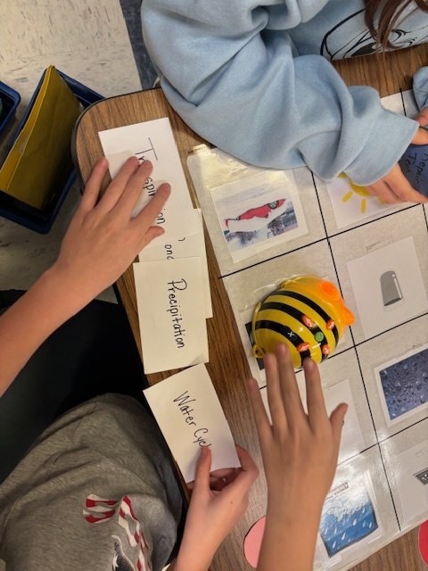 BeeBots