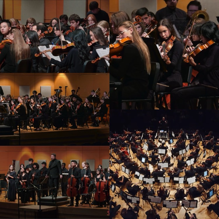 orchestra
