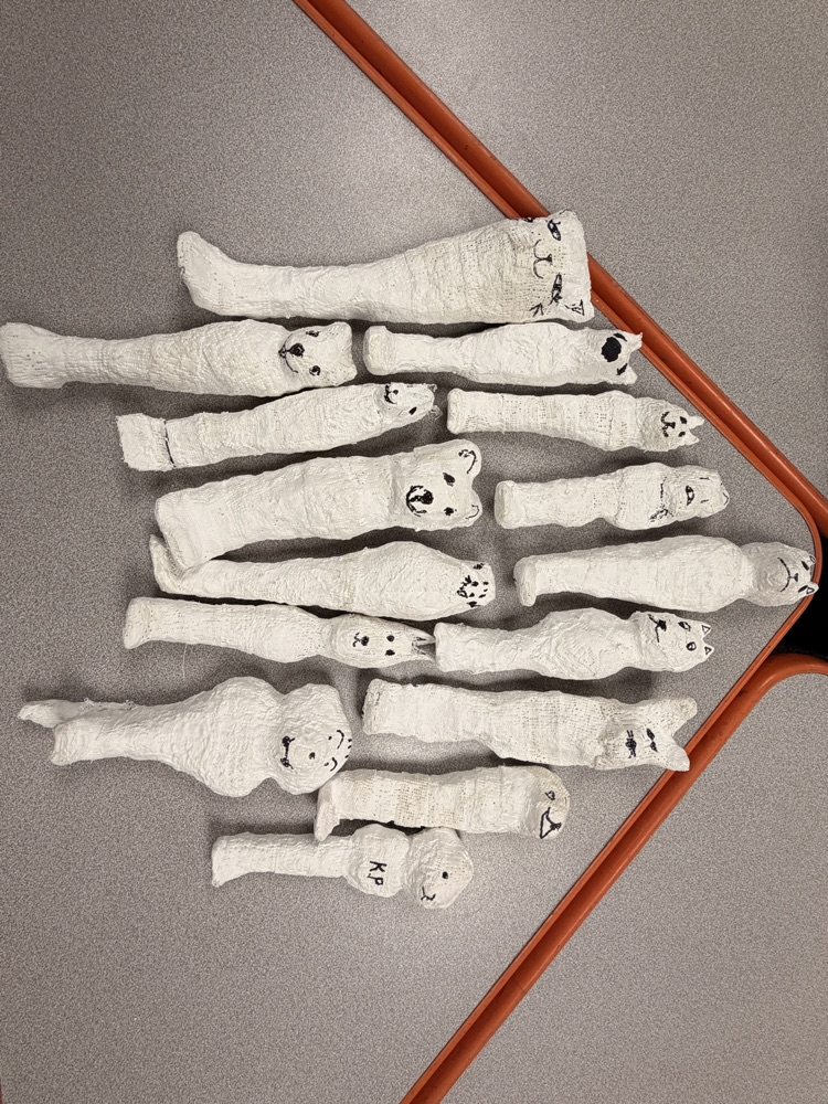 animal mummies 
