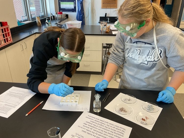 Students testing how different metals react with acids  