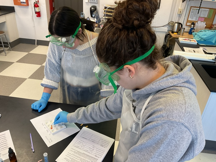 Using litmus paper to test various household solutions  