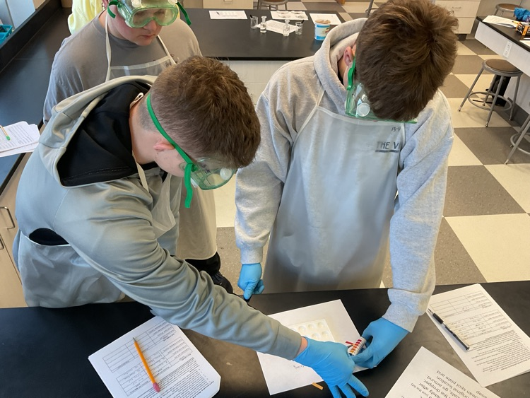 Testing the pH of various household substances  