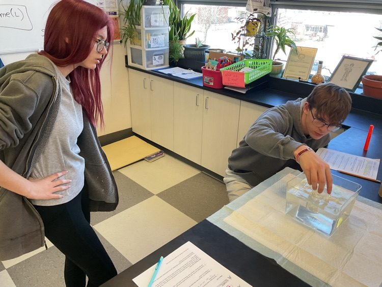 students observe, buoyant force