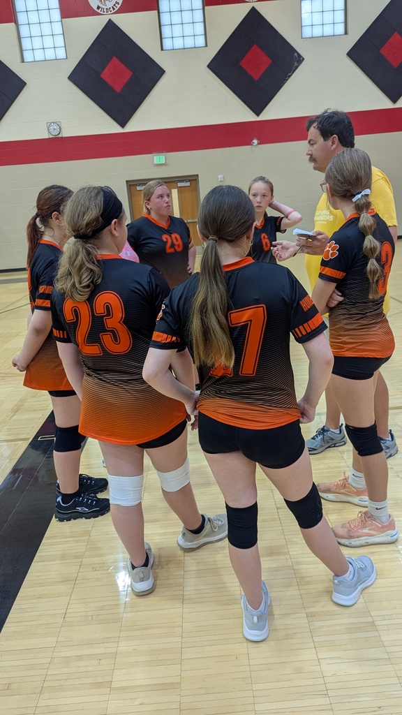Vball