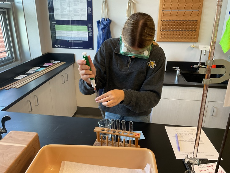 Practicing using a pipette. 