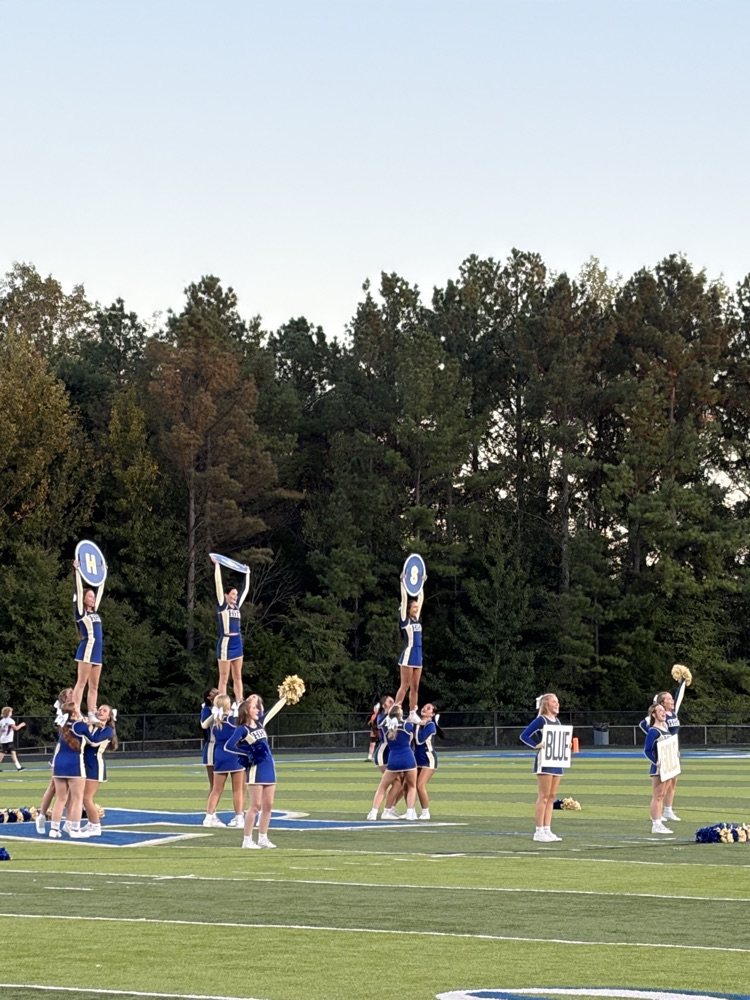 mustangs