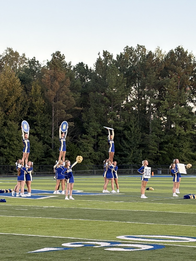 mustangs