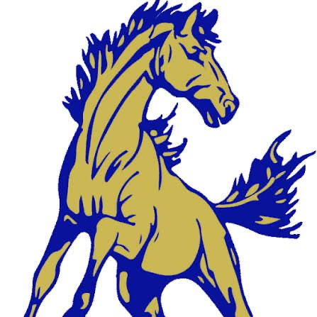mustangs