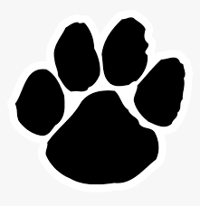 panther
