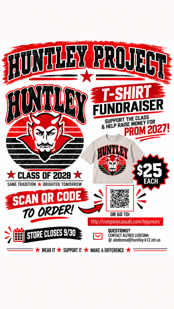 t SHIRT SALES 2028