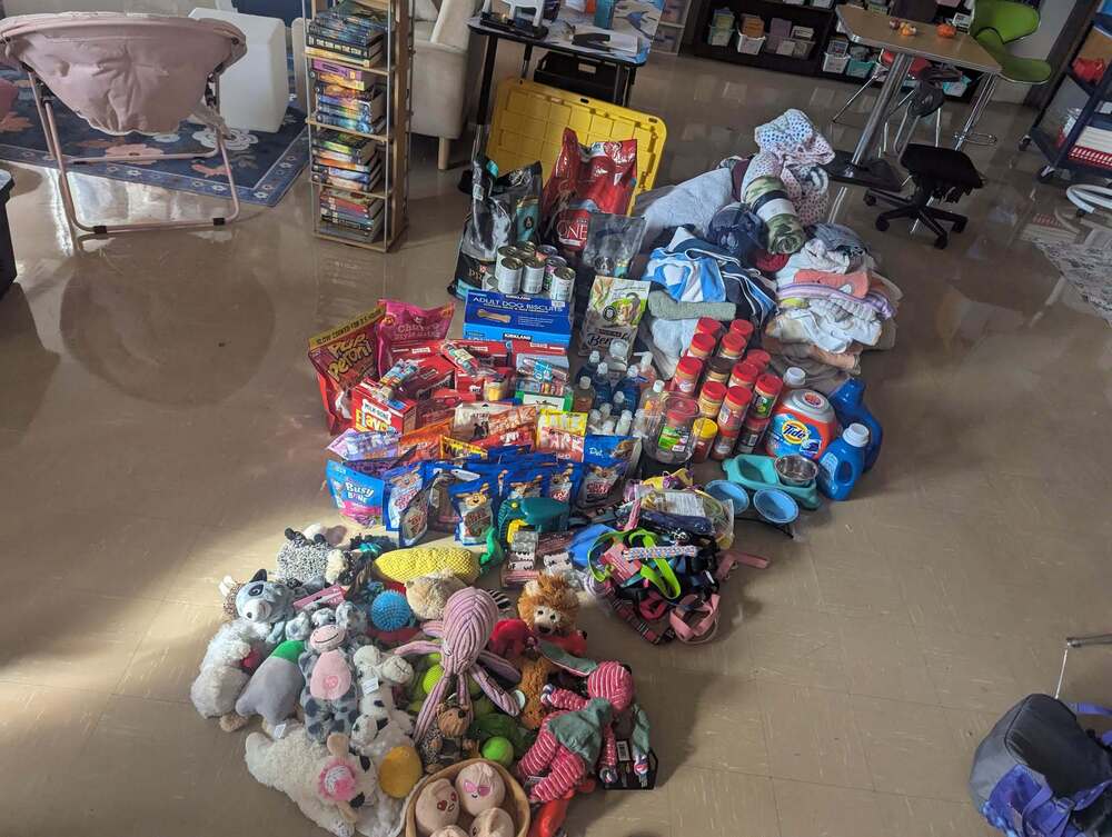 Image of the many items collected in our House drive, including stuffed dog toys, blankets, dog treats, collars, and leashes 