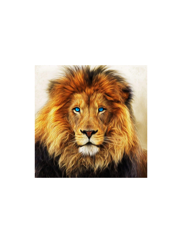brown lion with blue eyes