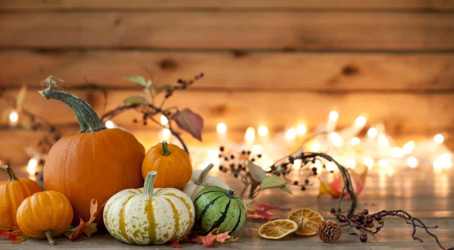 assortment of pumpkins with a background of christmas lights