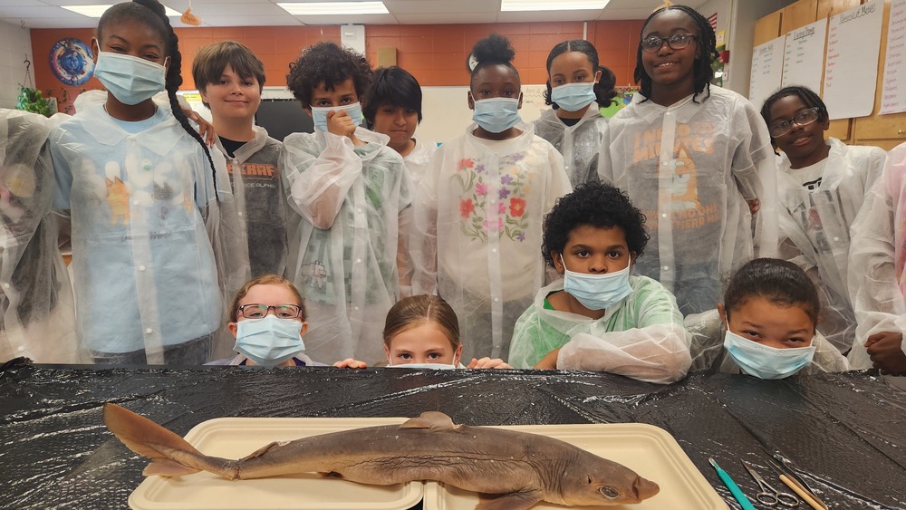 Students in masks and lab coats posing with a dogfish shark 