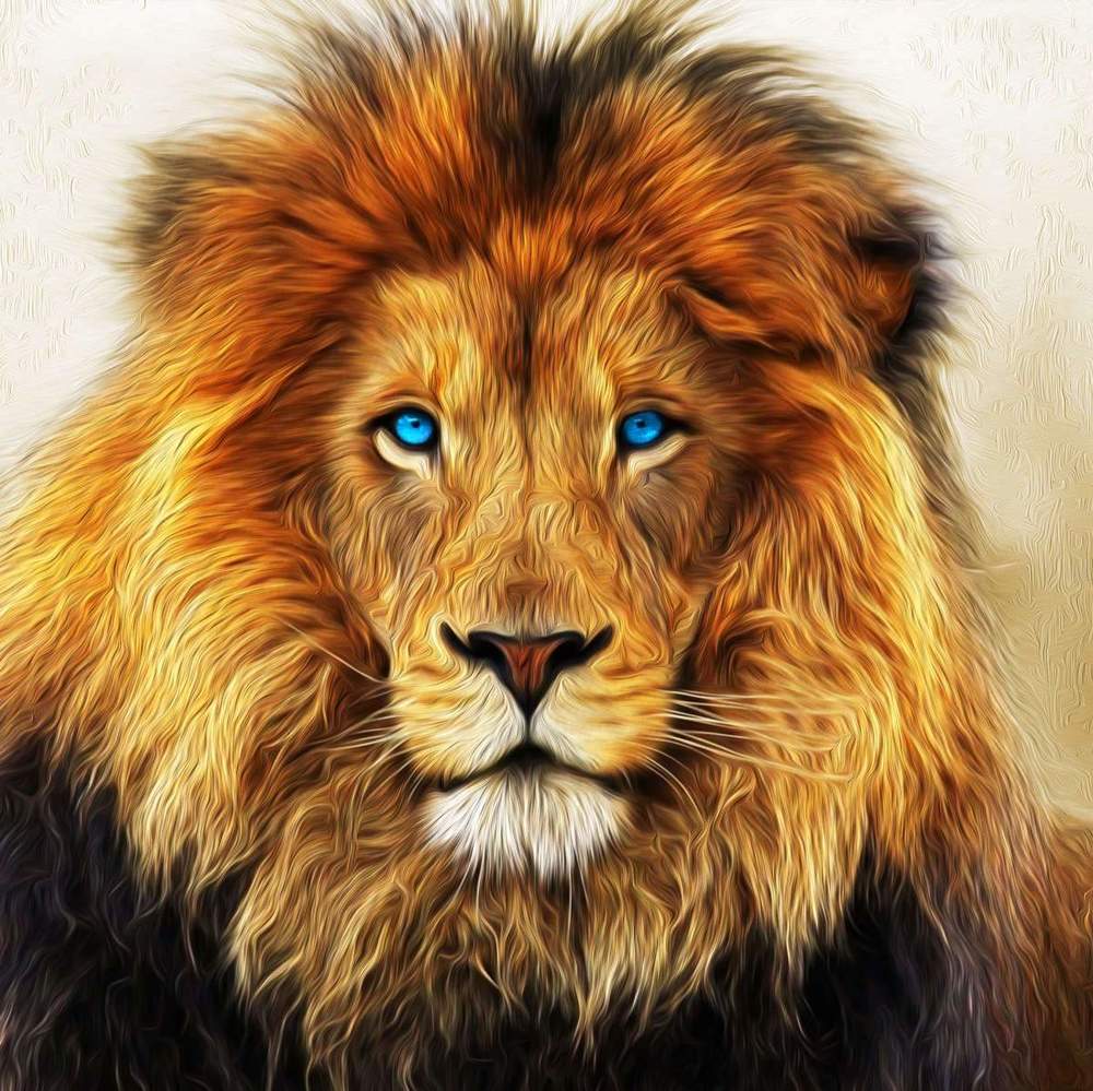 lion with blue eyes and brown fur