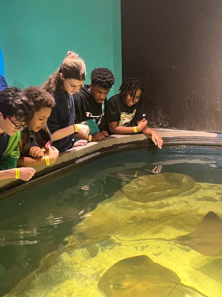 Students from CMS looking at sting rays at the McWane Science Center