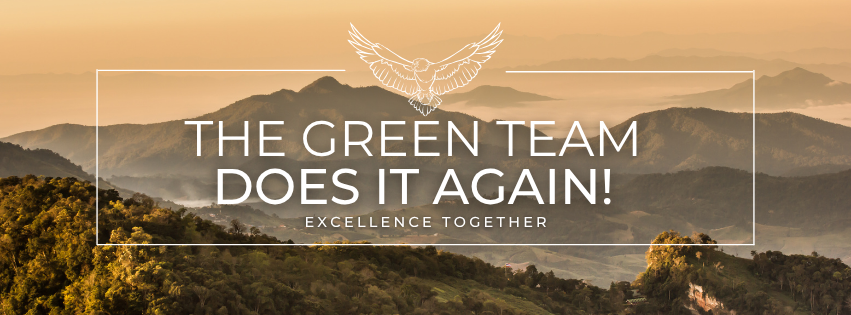 Beige and green mountains in the distance. There is a white rectangle with an eagle at the top enter and the words "The Green Team does it again!" and "excellence together" in the center. 