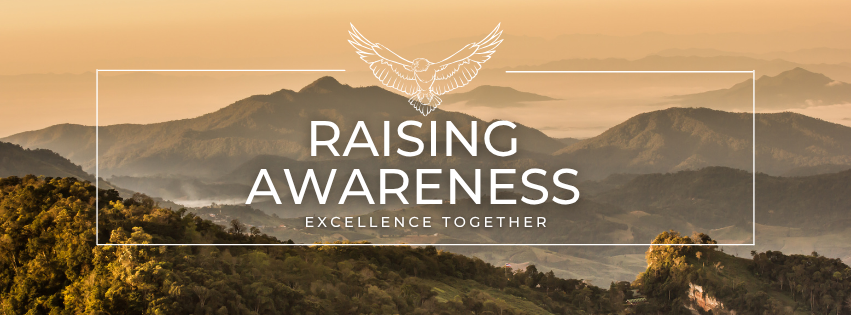 Beige and green mountains in the distance. There is a white rectangle with an eagle at the top enter and the words "Raising awarness" and "excellence together" in the center. 