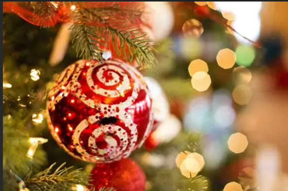 Christmas Ornament hanging in a tree