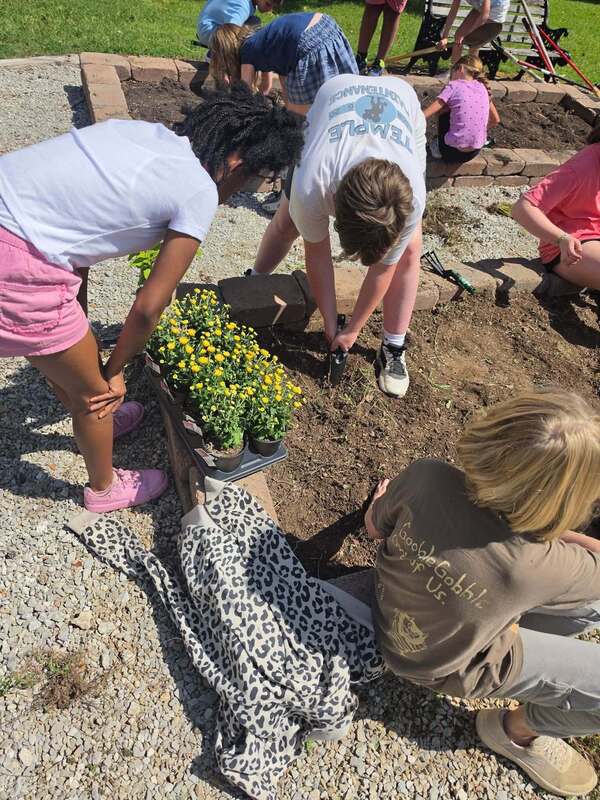 students outside working in school garden
