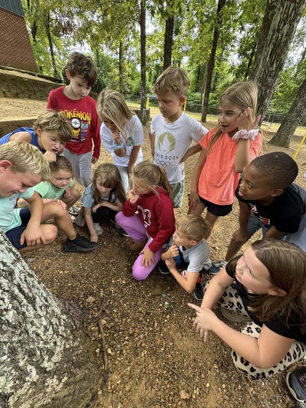 students huddled around bottom of tree looking at moths on tree