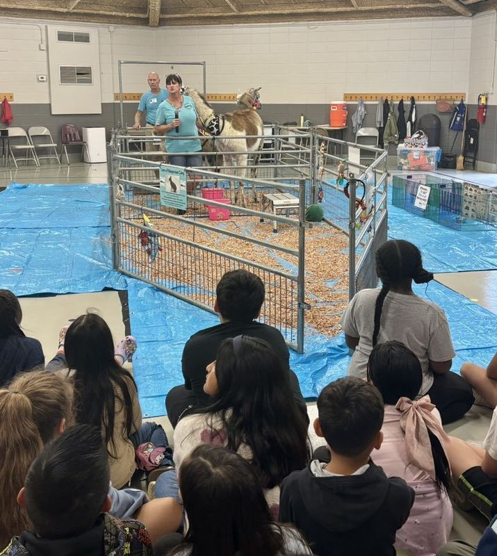 Fourth graders learning about alpacas and llamas from Susan, the farm owner.