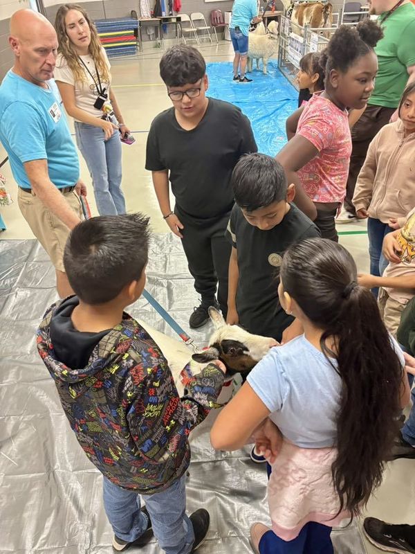 Students petting one of the goats