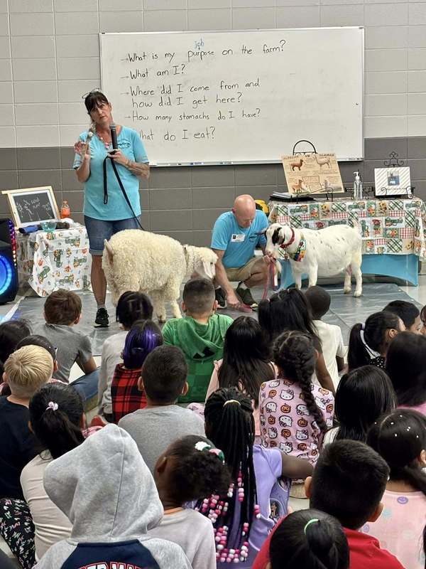 Susan and Kevin showing students two types of goats