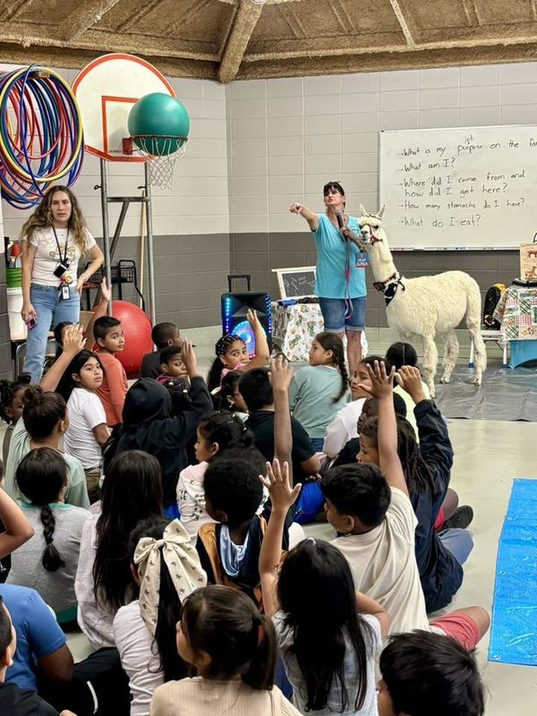 Students raising hands because they had so many questions about the animals.
