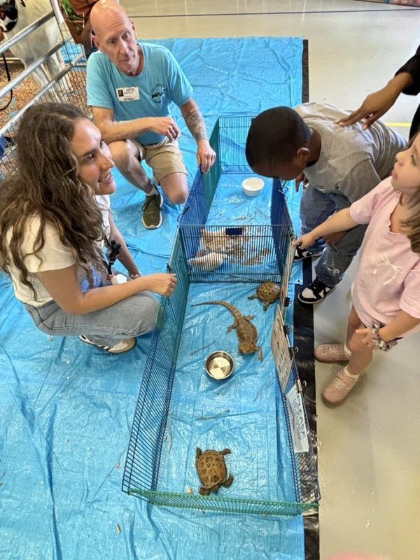 Students asking questions about the tortoises and bearded dragon.