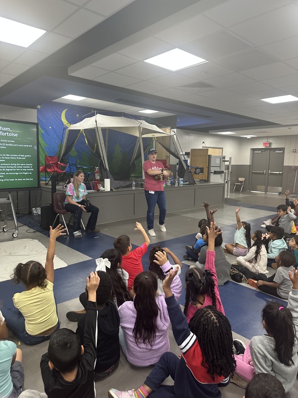 Students raising hands to ask questions about Twickenham the tortoise.