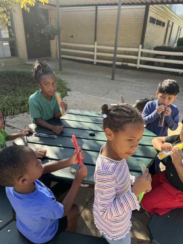 The students are outside on the courtyard enjoying their popsicles.