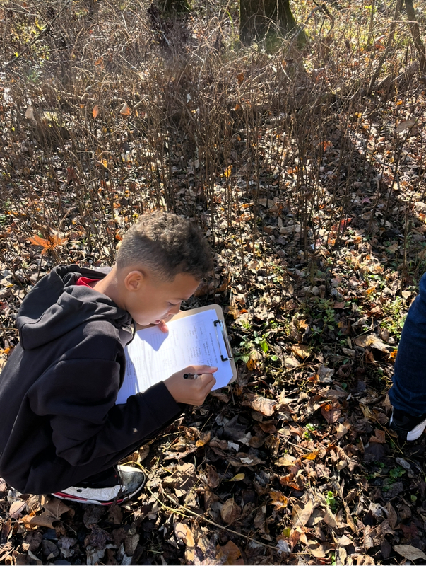A student takes notes while others measure nearby trees