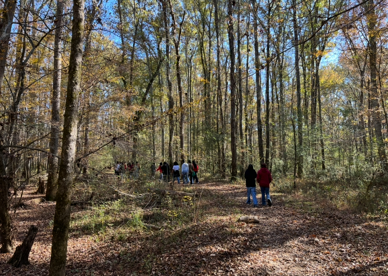 Wide shot of students hiking on a trail