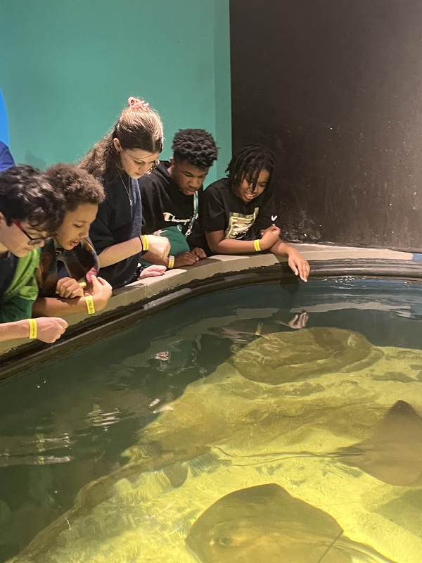 cms students looking at sting rays at the science center