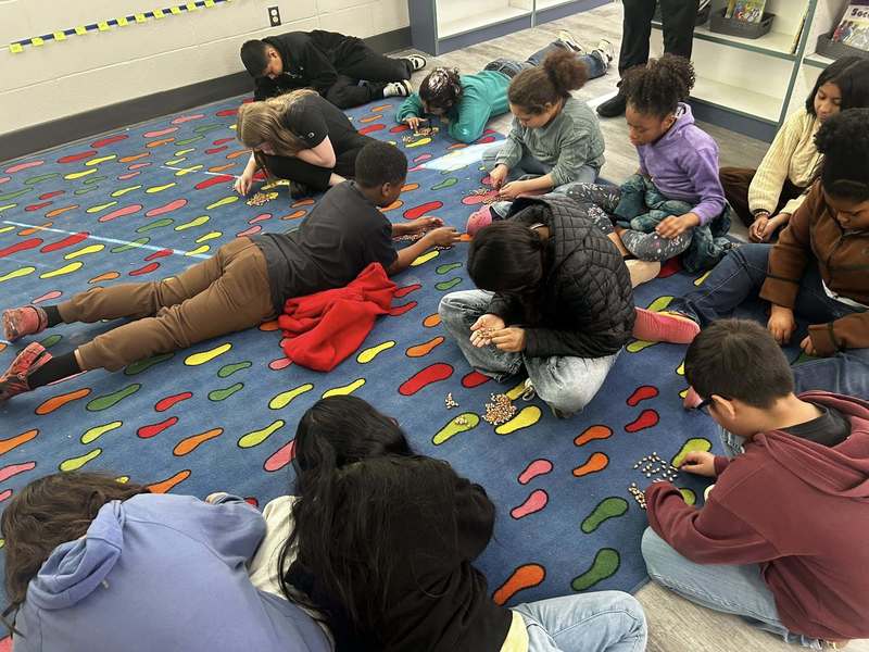 Fifth graders counting beans in the library for the ACAP Experience.