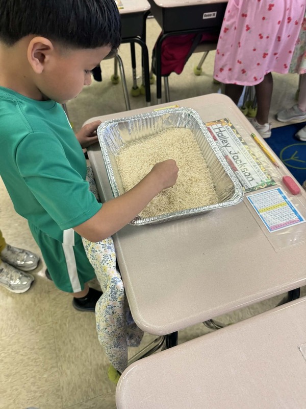 A first grader looking for coins in a pan of rice.