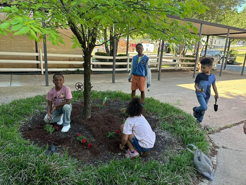 Students are outside planting flowers during their Green Team Club.