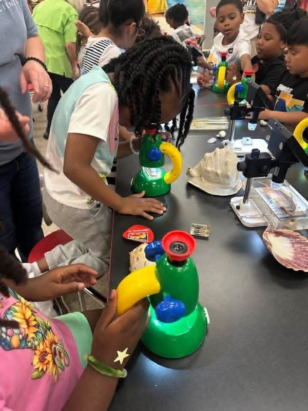 First grade students at the Microscope Scavenger Hunt learning through microscopes.
