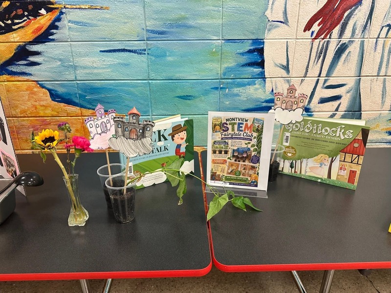 Display from the Science of Fairytales Activity Club.