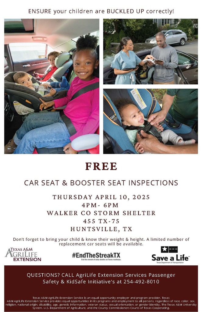 Car seat inspections flyer English